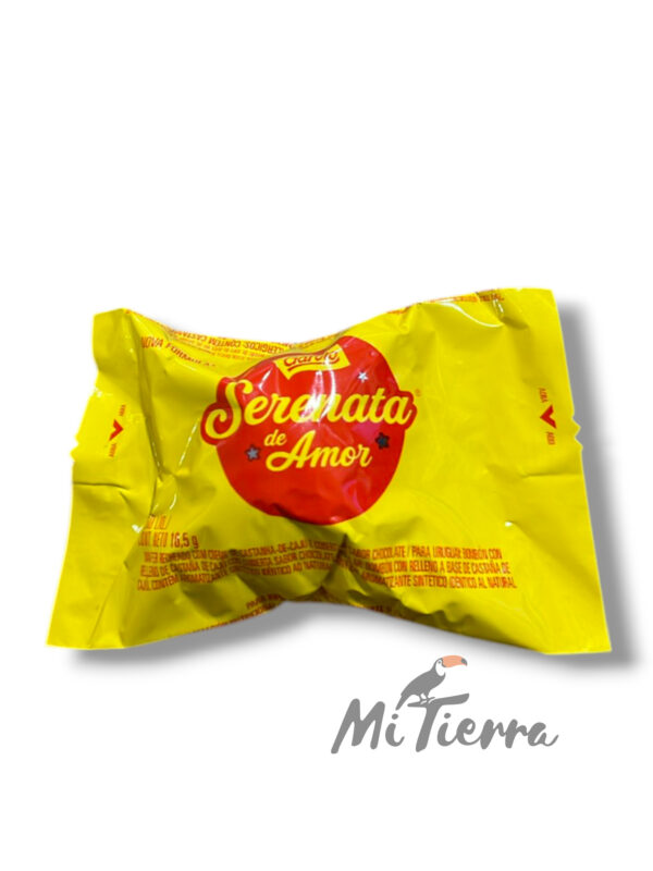 Garoto Serenata de Amor